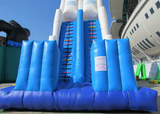 Tuỳ chỉnh Made Thổi phồng lên Khóa học Với Vật liệu Tarp Titanic Slide PVC