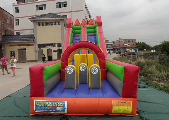 Biểu trưng tùy chỉnh Thương mại nước Slides, Thổi phồng lên Bouncer Với Slide miễn phí chì