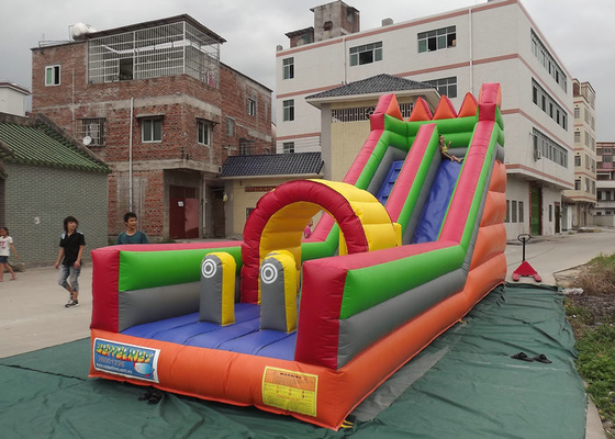 Biểu trưng tùy chỉnh Thương mại nước Slides, Thổi phồng lên Bouncer Với Slide miễn phí chì