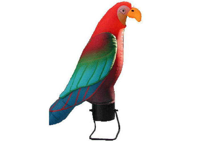 Parrot đầy màu sắc Dancer Gió, Thổi phồng lên Khuyến mại Sản phẩm Vật liệu bền